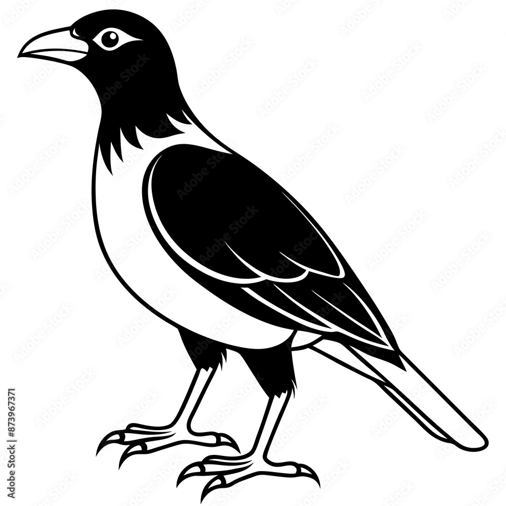 Fototapeta premium illustration of a bird