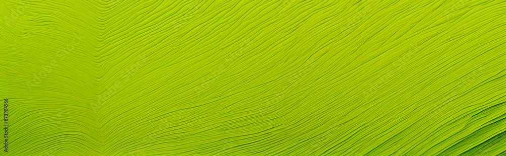 green texture green texture