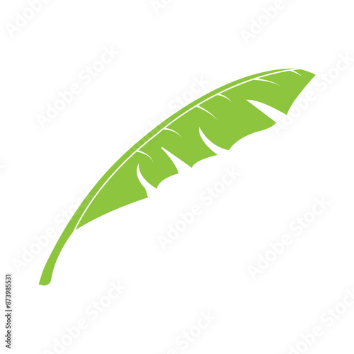 banana leaf design