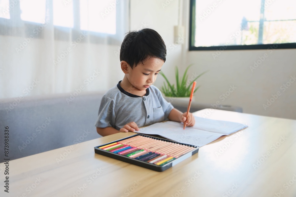 Little boy drawing and coloring Inside the living room happily Ideas to enhance learning and build imagination Little boy drawing and coloring Inside the living room happily Ideas to enhance learning and build imagination