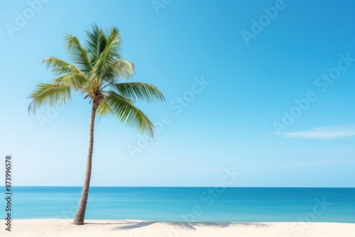 Palm tree on tropical beach summer sky outdoors.
