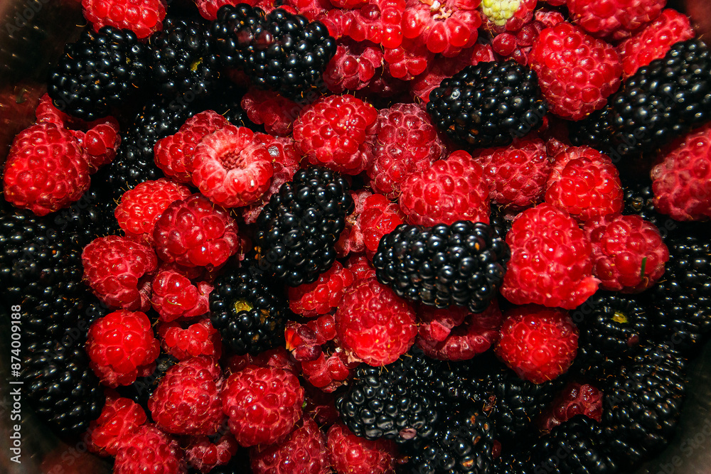 Red raspberries and black mulberries close up Red raspberries and black mulberries close up