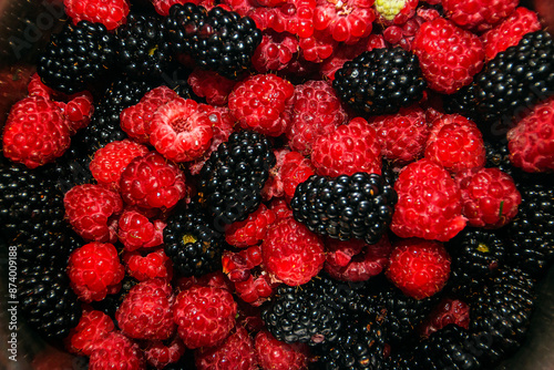 Red raspberries and black mulberries close up