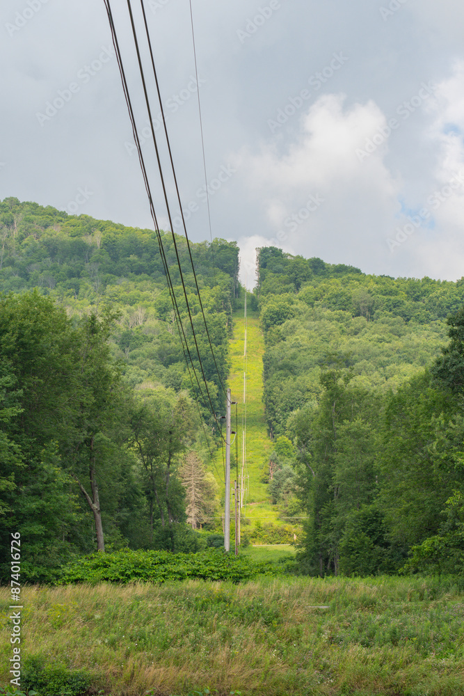 Copy space selective focus mountain valley power lines clearance in the woods, summer green lush forest, energy Industry background image Copy space selective focus mountain valley power lines clearance in the woods, summer green lush forest, energy Industry background image