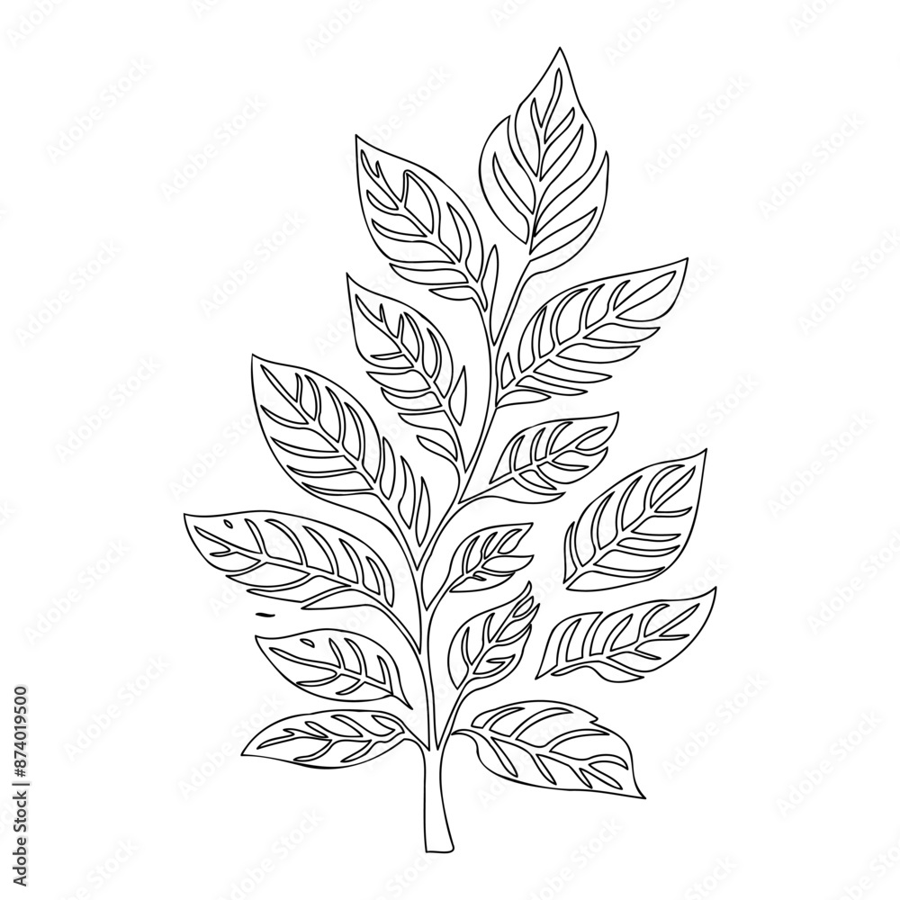 viburnum leaf floral outline illustration sketch viburnum leaf floral outline illustration sketch