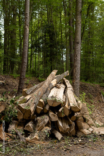 Long blocks of split logs in a pile on the edge of the forest