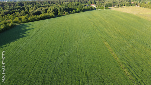 Aerial view of a lush green monoculture agriculture field