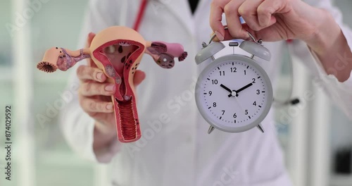 Gynecologist holds uterus model and alarm clock in clinic photo