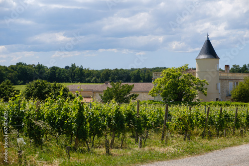 wide view of Chateau Lafitte vineyards Yvrac Gironde Bordeaux France