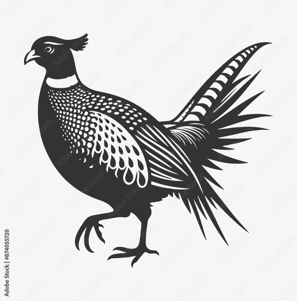 Obraz premium Majestic Pheasant Silhouette, Captivating Avian Art for Nature Lovers