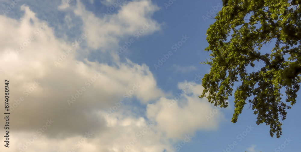 A serene photograph of the sky with fluffy clouds, capturing the peacefulness and beauty of nature. The image showcases the various shapes and textures of the clouds against a vibrant blue sky, evokin A serene photograph of the sky with fluffy clouds, capturing the peacefulness and beauty of nature. The image showcases the various shapes and textures of the clouds against a vibrant blue sky, evokin