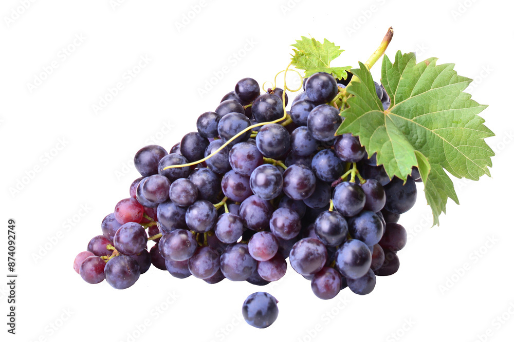 Fototapeta premium Bunch of grapes isolated on white