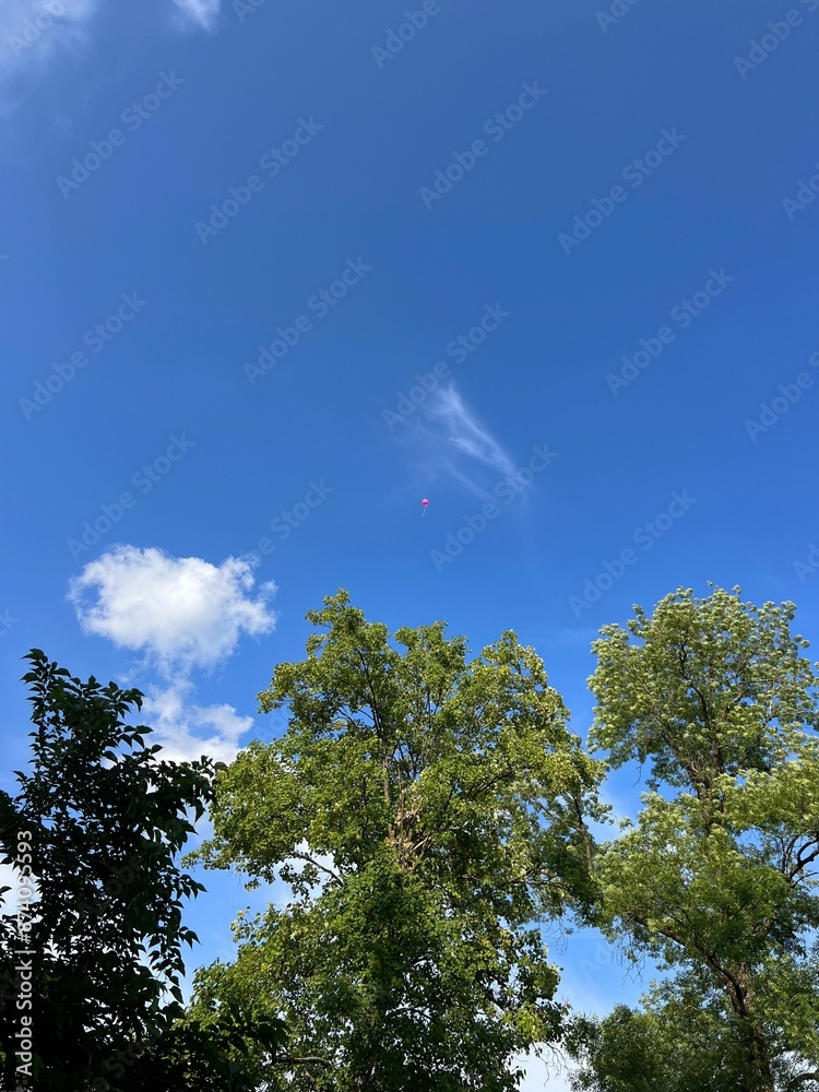 Obraz premium Bright blue sky with a red balloon floating above green trees on a sunny day