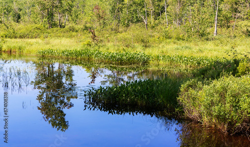 Reflection of blue sky on the calm surface of Goose River in Maine on a summer day.