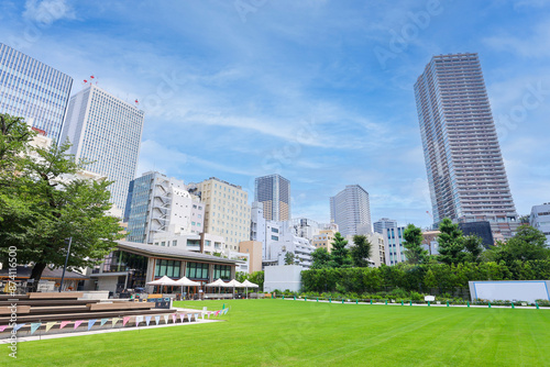 広い芝生の公園と高層マンション