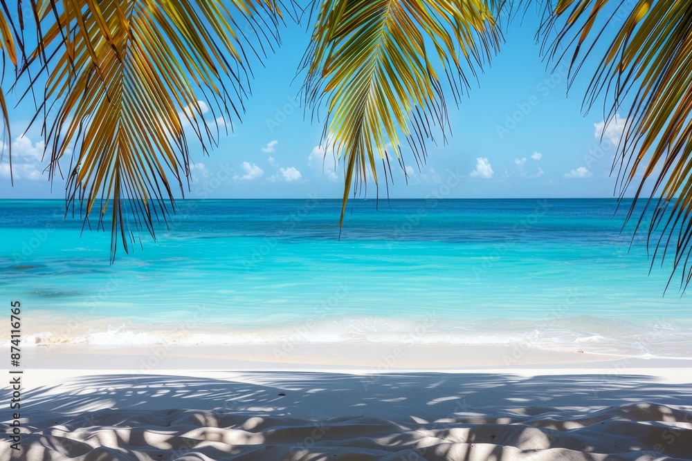 Obraz premium Tropical Beach with Palm Trees and Clear Blue Water Creating a Relaxing and Exotic Scene
