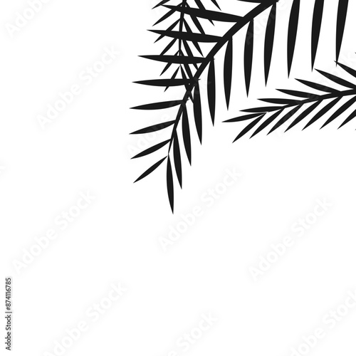 Silhouette Palm Corner