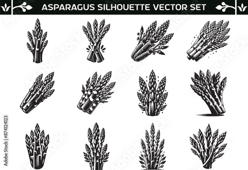 Asparagus silhouette vector illustration set