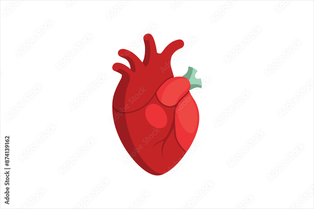 Human heart on a gray vector art illustration Human heart on a gray vector art illustration