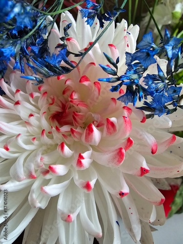 bouquet of flowers