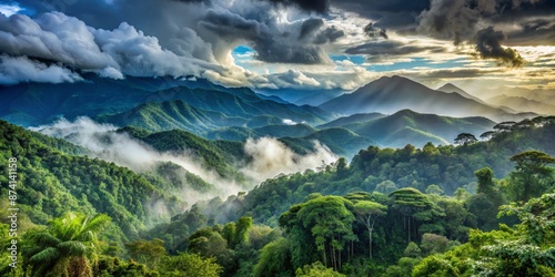 Ecuadorian cloud forest illustration landscape with mountains, rain, mindo, outdoor background, tree