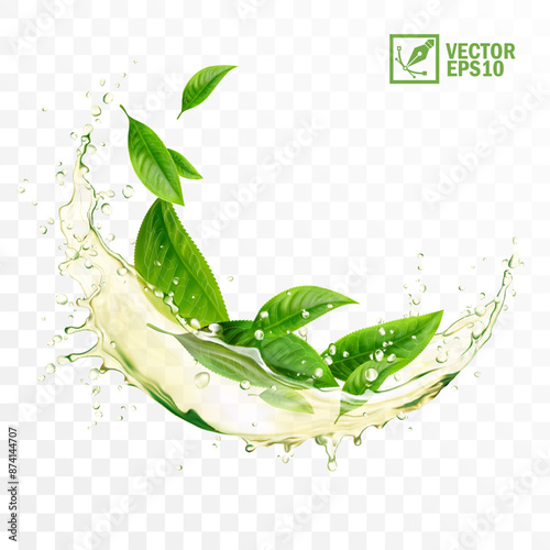 Realistic transparent isolated vector splash of green tea with green leaves and drops, a splash in the form of a circle