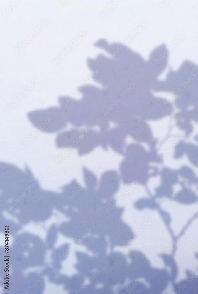 Fototapeta premium 背景イラスト_木漏れ日