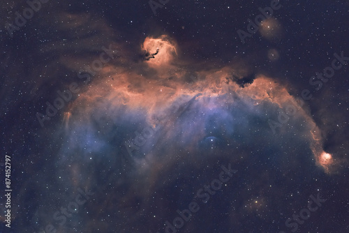 Fototapeta Naklejka Na Ścianę i Meble -  Deep space astrophotography using a telescope capturing the Seagull Nebula IC 2177