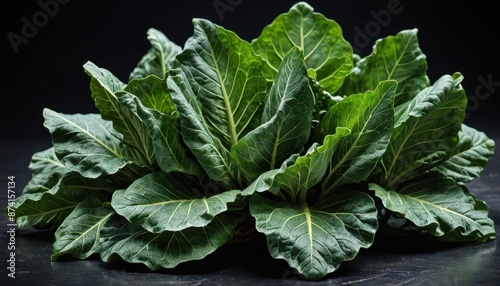 Green leafy plant on black background.