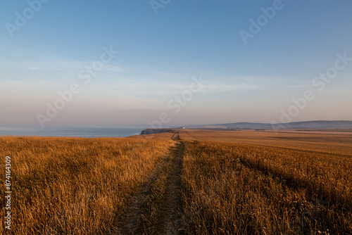 A pathway through a field next to the Isle of Wight coast, looking towards Atherfield © lemanieh