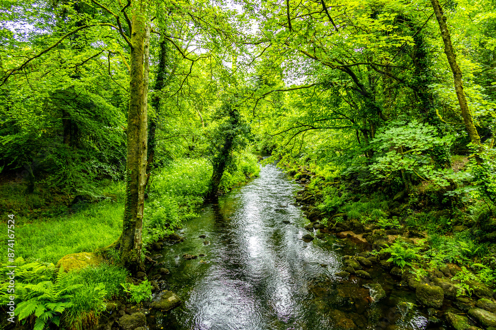 Obraz premium Wanderung durch den wunderschönen Nationalpark Dartmoor vom Castle Drogo zur Fingle Bridge - Exeter - Vereinigtes Königreich