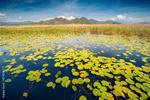 view of the beautiful Skadar Lake, revealing the intricate patterns of the marshland and the wild beauty of the surrounding countryside.