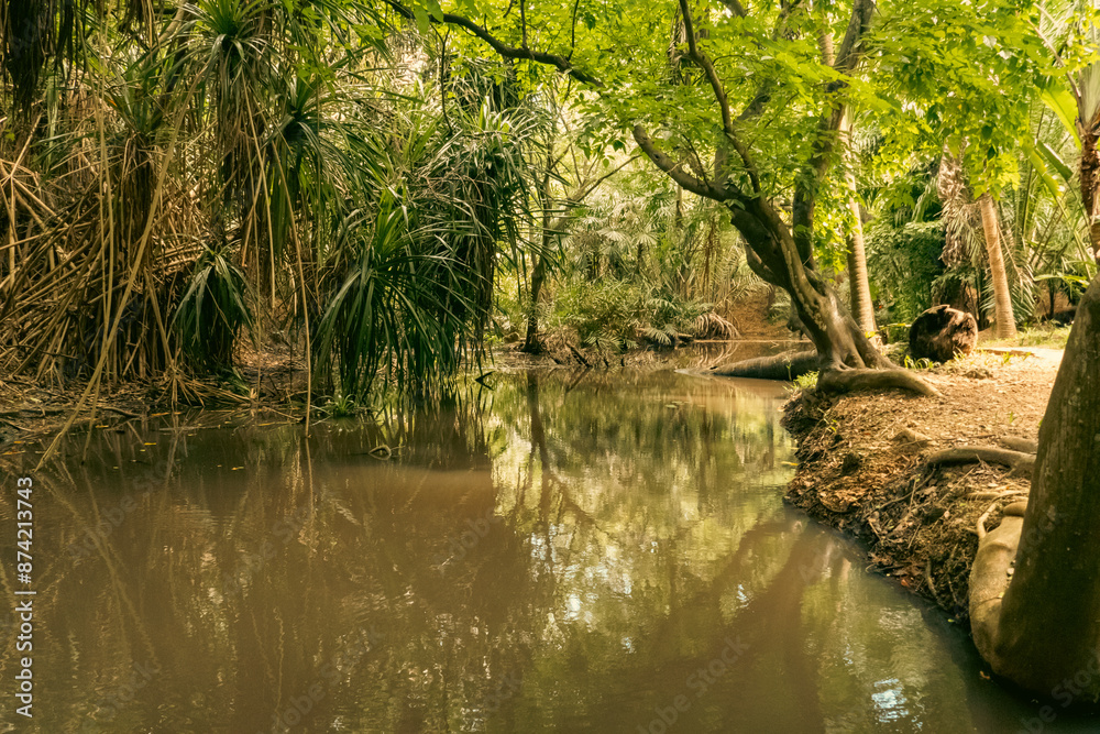 A watering hole in the forest at Haller Park in Bamburi, Mombasa, Kenya
A watering hole in the forest at Haller Park in Bamburi, Mombasa, Kenya