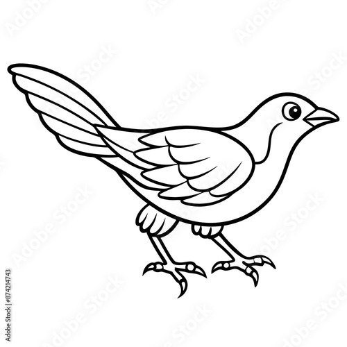 dove of peace on a branch
