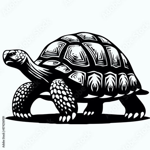 Detailed Tortoise Vector Illustration