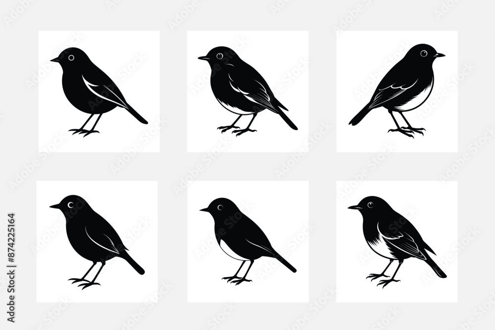 Fototapeta premium Magpie Bird vector set