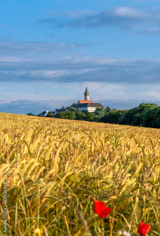 Getreidefeld beim Kloster Andechs im Abendlicht, Oberbayern, Bayern, Deutschland, Europa