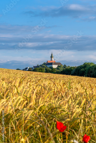 Obraz na płótnie Getreidefeld beim Kloster Andechs im Abendlicht, Oberbayern, Bayern, Deutschland, Europa w salonie