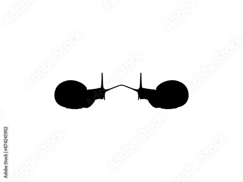 Silhouette of the Snails are also called Escargot, Flat Style, Pair Animal Series, can use for Logo, Art Illustration, Apps, Website or Graphic Design Element. Vector Illustration