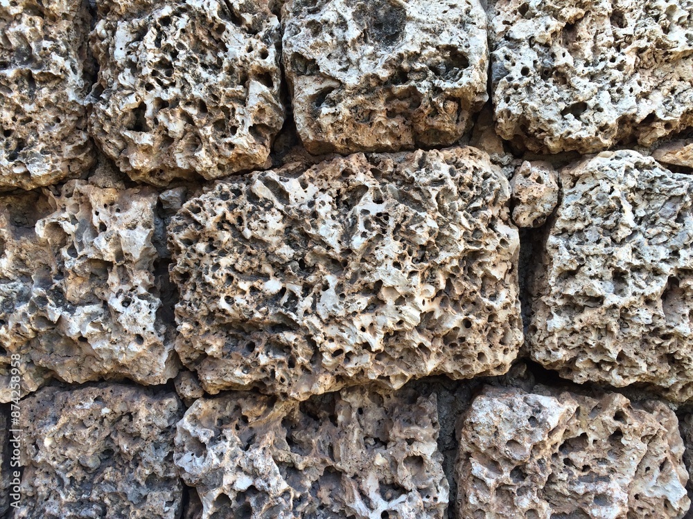 Coral Stone Wall Coral Stone Wall