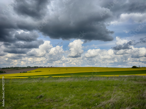 The perfect landscape of fields in a sunny day with perfect clouds in the sky