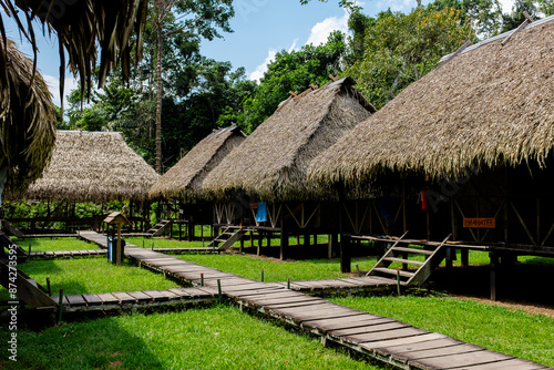 Thatched huts in the amazon rainforest