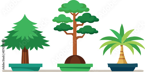 Three trees are shown in a row, with the tallest one being a palm tree