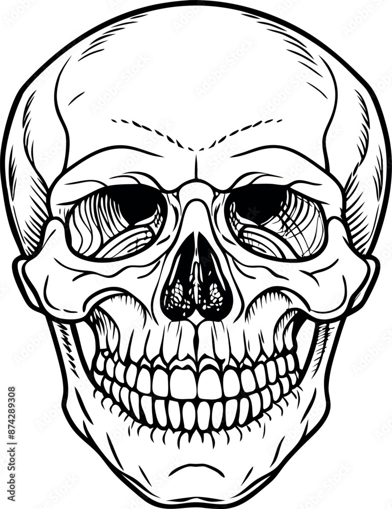 Fototapeta premium A skull with a smile on it