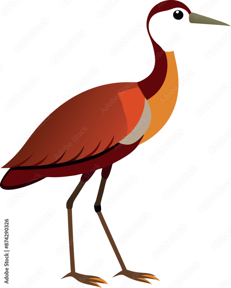 Obraz premium A bird with orange and white feathers stands on a white background
