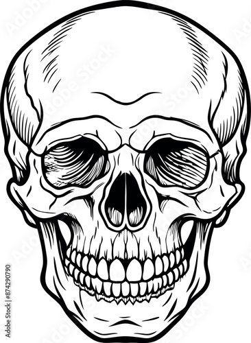 A skull with a smile on it