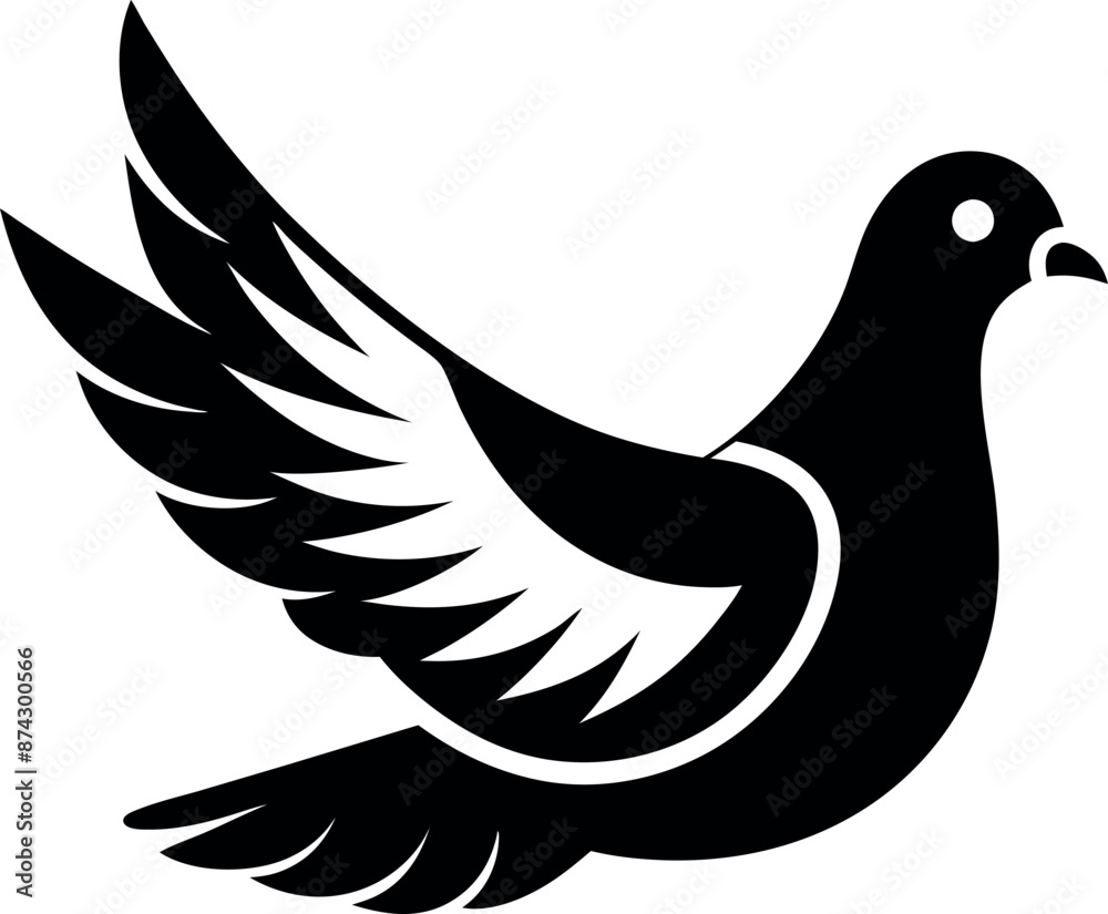Obraz premium A black and white bird with its wings spread out