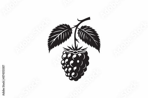 Blackberry vector silhouette image adobe illustrator.