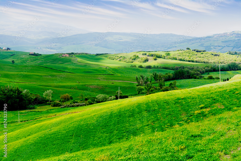 Fototapeta premium Tuscany, Italy-April 22, 2024: Vibrant Green Hills of Tuscany