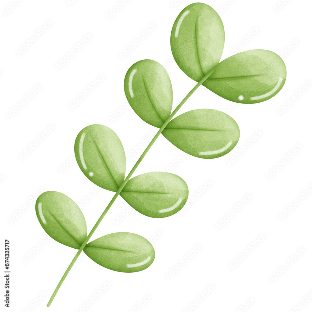 Obraz premium Leaf